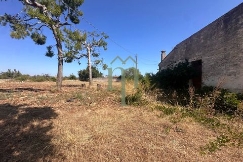 Ruinere i Carovigno, Brindisi, Carovigno - € 385.000 | Ref: Proprietà Pinea - foto 6